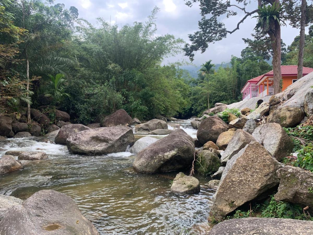 Chalet Latip D'Ayer Itam Kampong Ayer Hitam (Perak) Ngoại thất bức ảnh