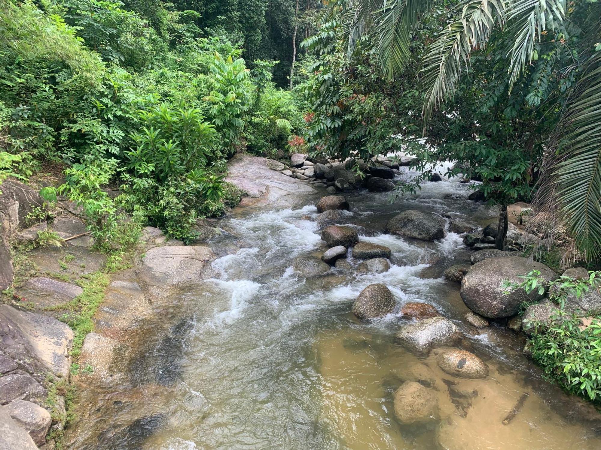 Chalet Latip D'Ayer Itam Kampong Ayer Hitam (Perak) Ngoại thất bức ảnh